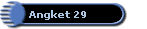 Angket 29