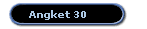 Angket 30